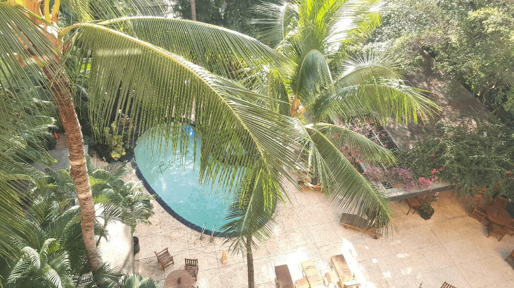 A Pool Area With Coconut Trees Around
